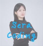 코딩두잇 Sera 선생님